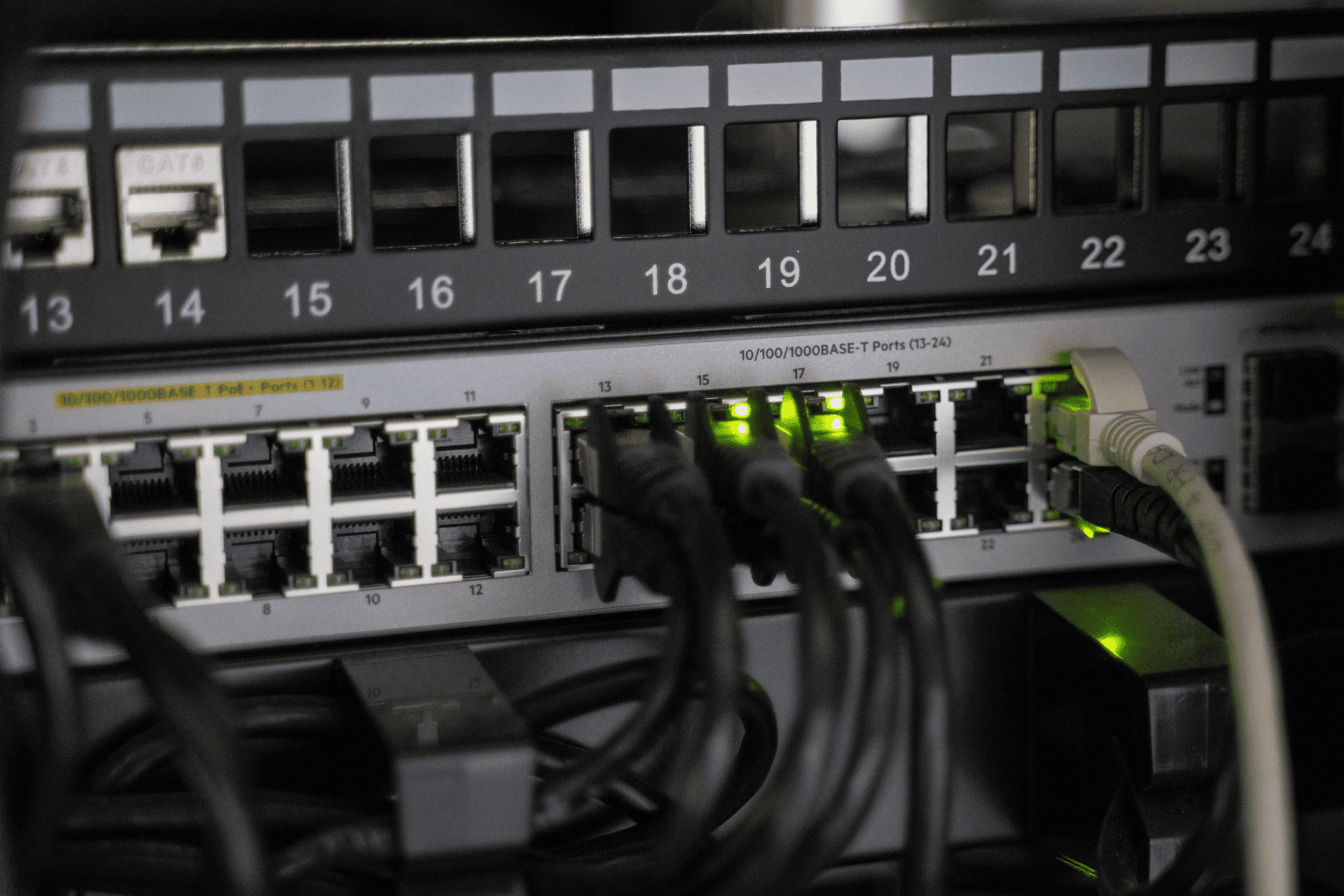 Prises d'un switch réseau avec câbles branchés
